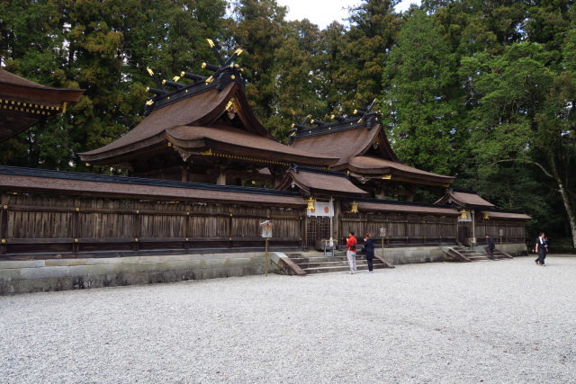 hongu3