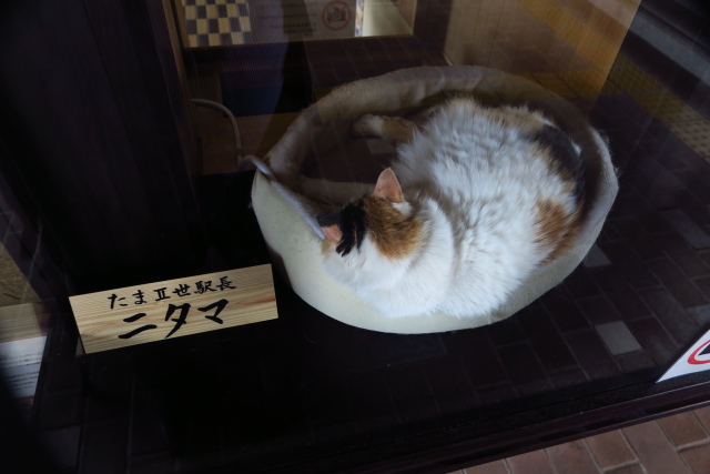 nitama