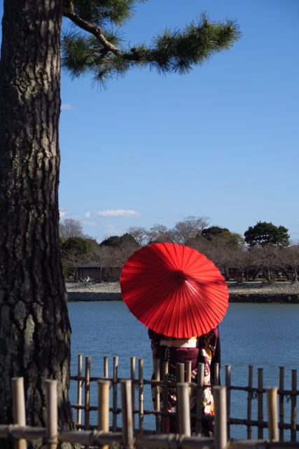 parasol