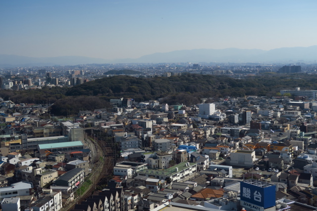 sakai-kofun