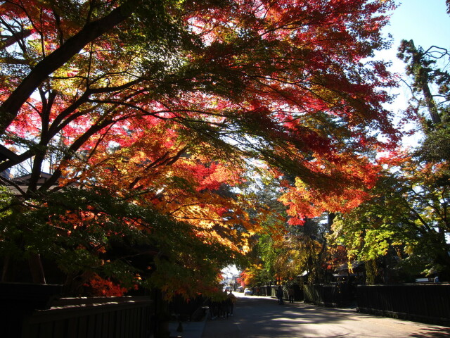 kakunodate