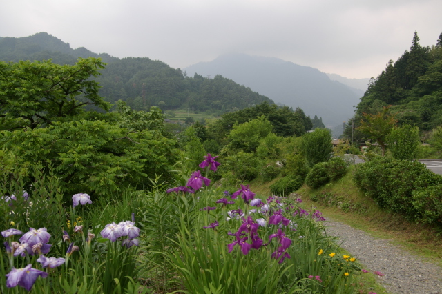 nakasendo