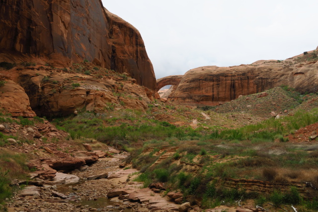 rainbow-bridge-approach