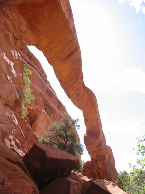 wall-arch